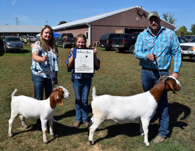 Jackson-Goats-3.jpg